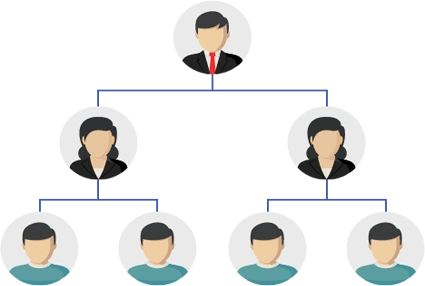 Binary Plan Software
