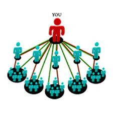 sunflower_mlm_software